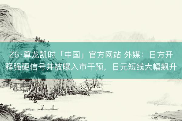 Z6·尊龙凯时「中国」官方网站 外媒：日方开释强硬信号并被曝入市干预，日元短线大幅飙升