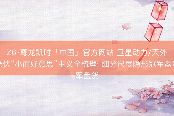 Z6·尊龙凯时「中国」官方网站 卫星动力/天外光伏“小而好意思”主义全梳理: 细分尺度隐形冠军盘货