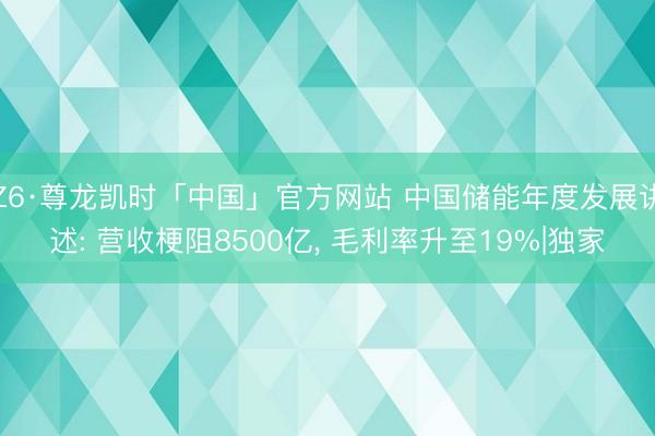 Z6·尊龙凯时「中国」官方网站 中国储能年度发展讲述: 营收梗阻8500亿, 毛利率升至19%|独家