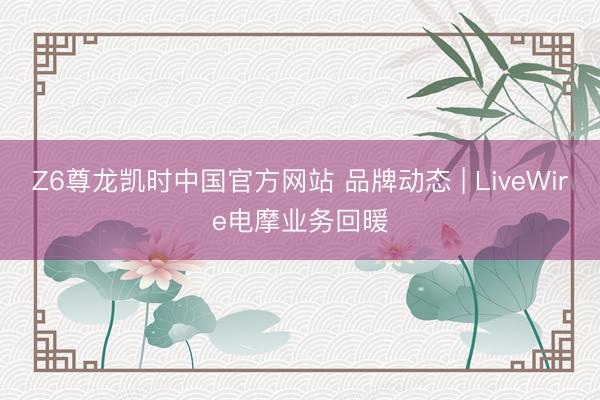 Z6尊龙凯时中国官方网站 品牌动态 | LiveWire电摩业务回暖