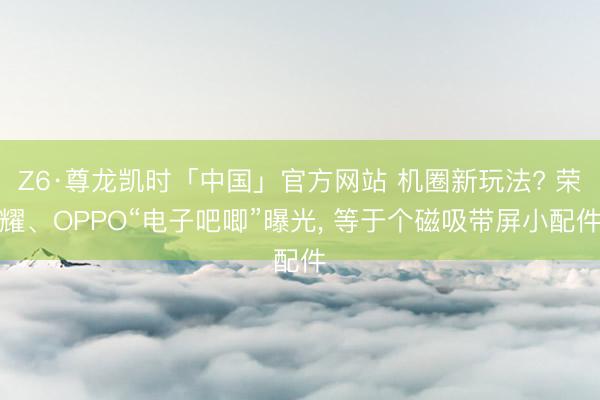 Z6·尊龙凯时「中国」官方网站 机圈新玩法? 荣耀、OPPO“电子吧唧”曝光, 等于个磁吸带屏小配件