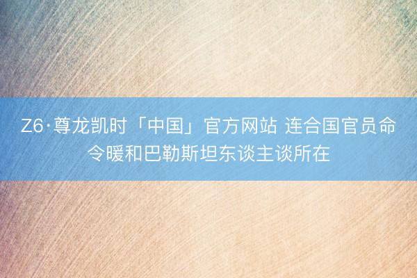 Z6·尊龙凯时「中国」官方网站 连合国官员命令暖和巴勒斯坦东谈主谈所在