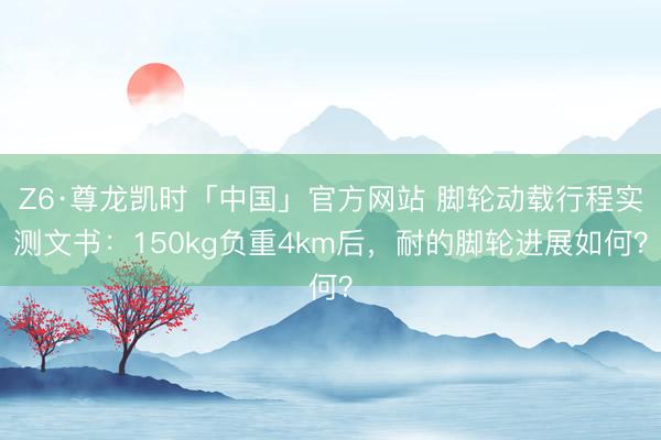 Z6·尊龙凯时「中国」官方网站 脚轮动载行程实测文书：150kg负重4km后，耐的脚轮进展如何？