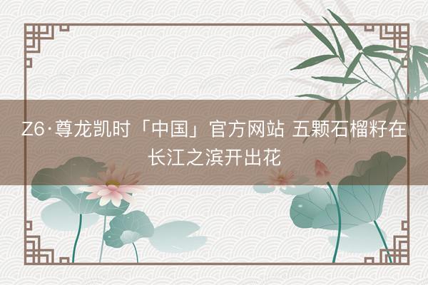 Z6·尊龙凯时「中国」官方网站 五颗石榴籽在长江之滨开出花