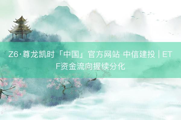 Z6·尊龙凯时「中国」官方网站 中信建投 | ETF资金流向握续分化