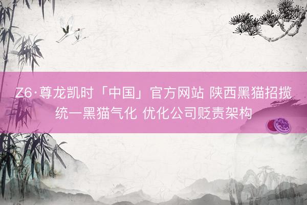 Z6·尊龙凯时「中国」官方网站 陕西黑猫招揽统一黑猫气化 优化公司贬责架构