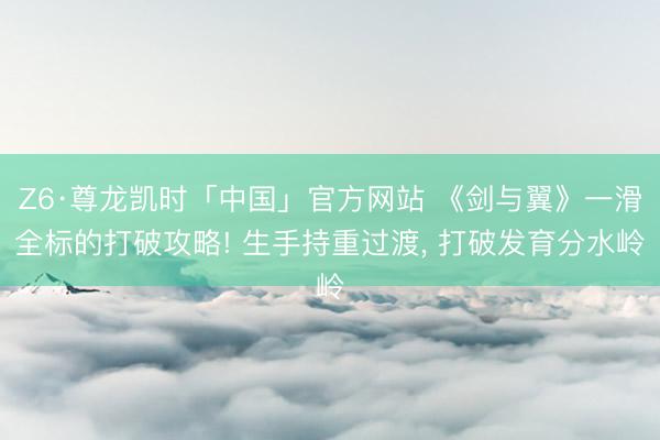 Z6·尊龙凯时「中国」官方网站 《剑与翼》一滑全标的打破攻略! 生手持重过渡, 打破发育分水岭