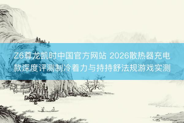 Z6尊龙凯时中国官方网站 2026散热器充电款深度评测制冷着力与持持舒法规游戏实测
