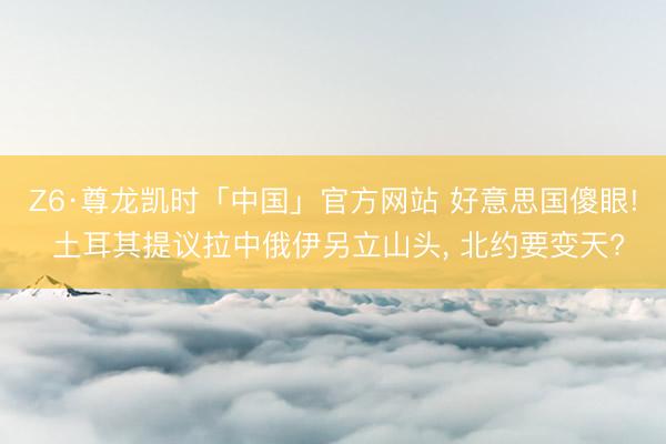 Z6·尊龙凯时「中国」官方网站 好意思国傻眼! 土耳其提议拉中俄伊另立山头， 北约要变天?