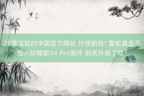 Z6尊龙凯时中国官方网站 抄底新低! 雷蛇真金不怕火狱蝰蛇V4 Pro测评 到底升级了啥?