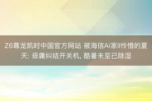 Z6尊龙凯时中国官方网站 被海信Ai家II怜惜的夏天: 毋庸纠结开关机， 酷暑未至已除湿