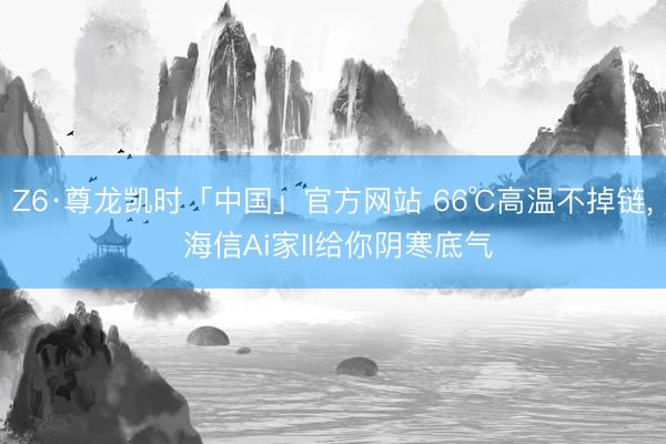 Z6·尊龙凯时「中国」官方网站 66℃高温不掉链， 海信Ai家II给你阴寒底气