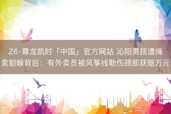 Z6·尊龙凯时「中国」官方网站 沁阳男孩遭绳索割喉背后：有外卖员被风筝线勒伤颈部获赔万元