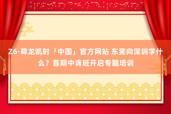 Z6·尊龙凯时「中国」官方网站 东莞向深圳学什么？首期中青班开启专题培训