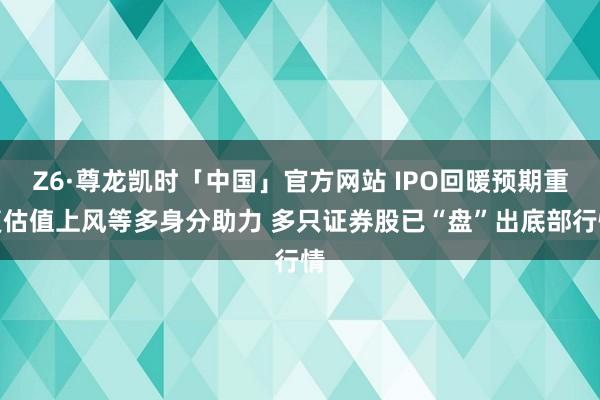 Z6·尊龙凯时「中国」官方网站 IPO回暖预期重复估值上风等多身分助力 多只证券股已“盘”出底部行情