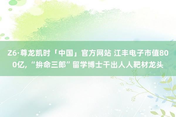 Z6·尊龙凯时「中国」官方网站 江丰电子市值800亿， “拚命三郎”留学博士干出人人靶材龙头