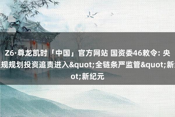 Z6·尊龙凯时「中国」官方网站 国资委46敕令: 央企违规规划投资追责进入"全链条严监管"新纪元