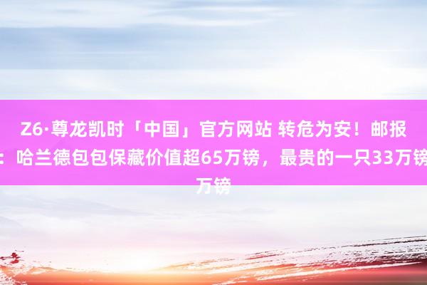Z6·尊龙凯时「中国」官方网站 转危为安!邮报:哈兰德包包保藏价值超65万镑,最贵的一只33万镑